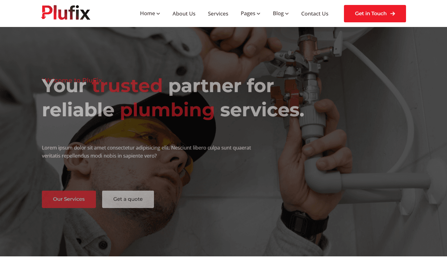 Plufix preview